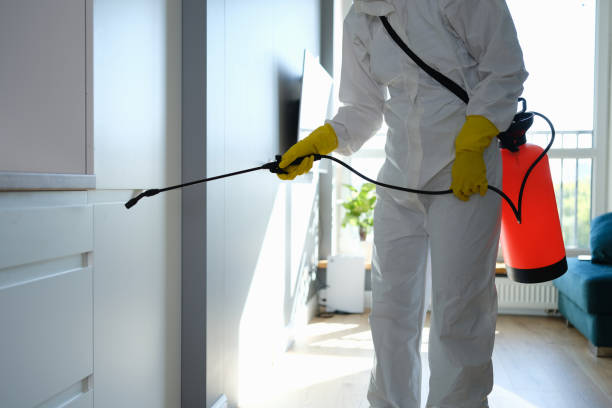 Best Office Mold Removal Services  in Homosassa Springs, FL